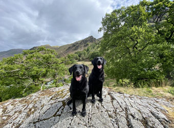 Hartsop Fold