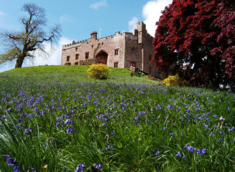 Muncaster