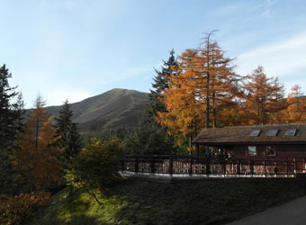 Whinlatter