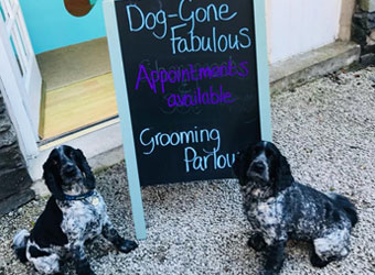 Dog Gone Fabulous Grooming Parlour